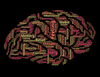 The brain and its sections